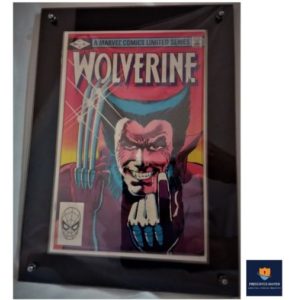 Stalward Display Frame Black Modern.